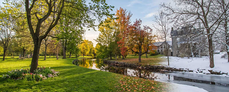 Stewart Park through all 4 seasons